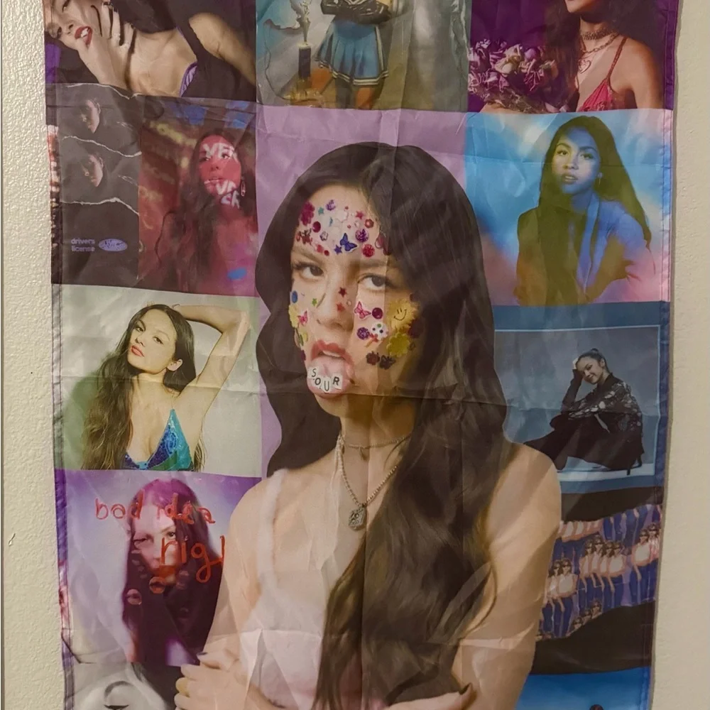 NWOT Olivia Rodrigo Colorful Wall Decor Tapestry